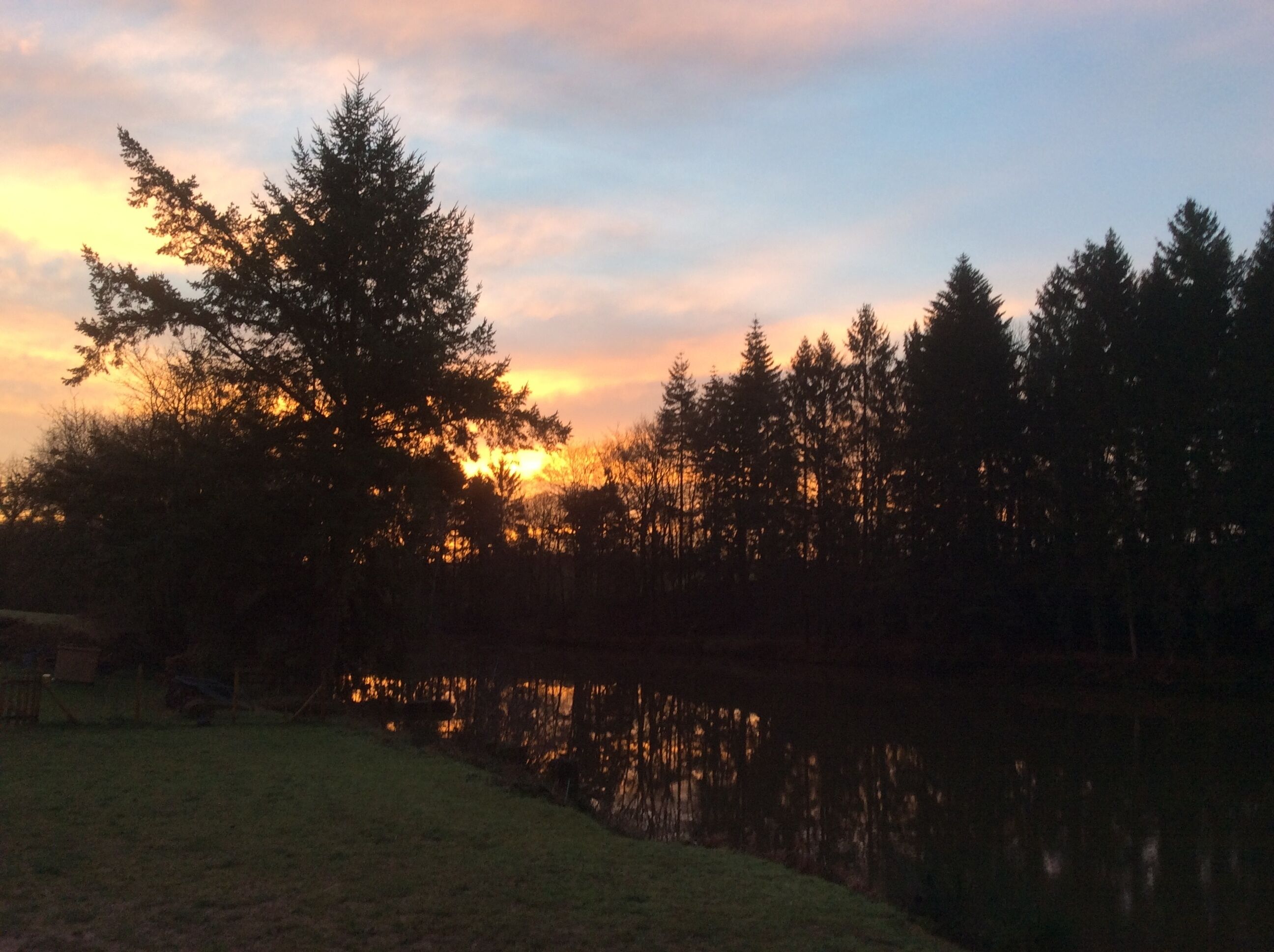 Un coucher de soleil sur une zone boisée, le ciel se reflétant dans une étendue d'eau.
