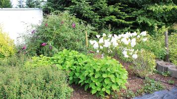 Ein Garten mit verschiedenen Pflanzen und Blumen, ein Holzzaun und ein weißes Gebäude im Hintergrund.