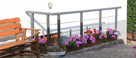 Terraza o patio
