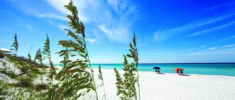 海滩
