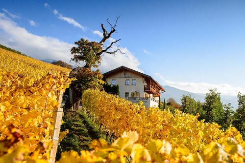 Appartement "Kreuzhof rechts" avec vue sur les montagnes, Wi-Fi, balcon et jardin