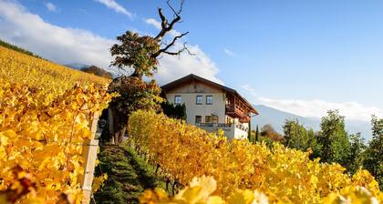Appartement "Kreuzhof rechts" avec vue sur les montagnes, Wi-Fi, balcon et jardin