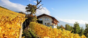 Apartment "Kreuzhof rechts" with Mountain View, Wi-Fi, Balcony & Garden