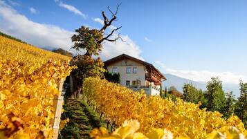 Àrea exterior de l'allotjament