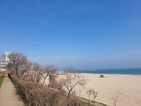Playa en los alrededores 