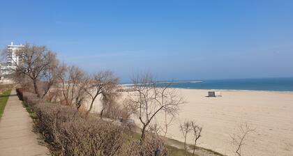 Location 50 m from beach "3 slippers"