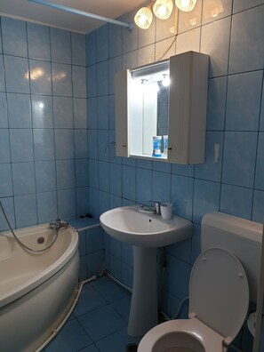 Ensemble douche/baignoire, sĂšche-cheveux, chaussons, serviettes fournies