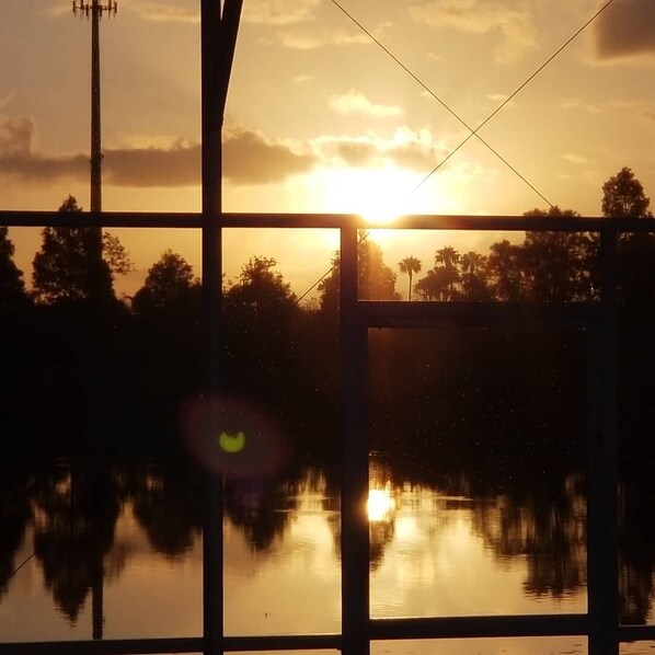 Property grounds - House, outside pool, at 10 min of Disney World, attraction. (Kissimmee)