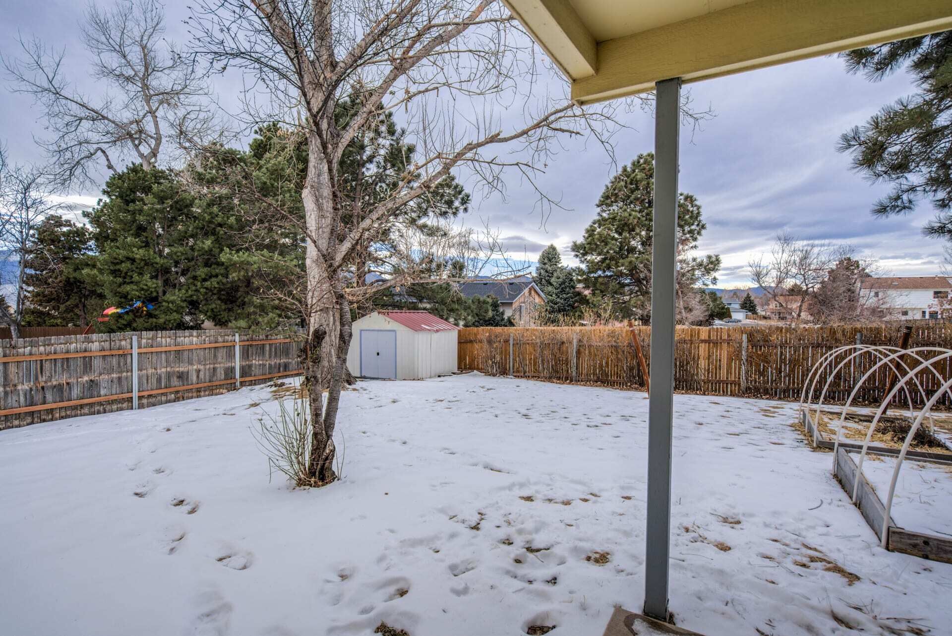 A snow-covered backyard with a wooden fence, a shed, and a tree.