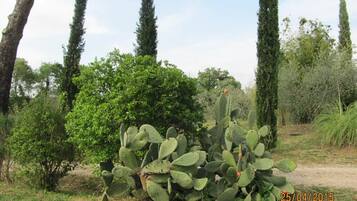 Área da propriedade