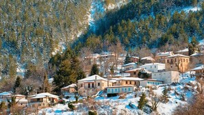 Un pueblo cubierto de nieve con casas tradicionales agrupadas en una ladera, rodeado de un bosque denso.