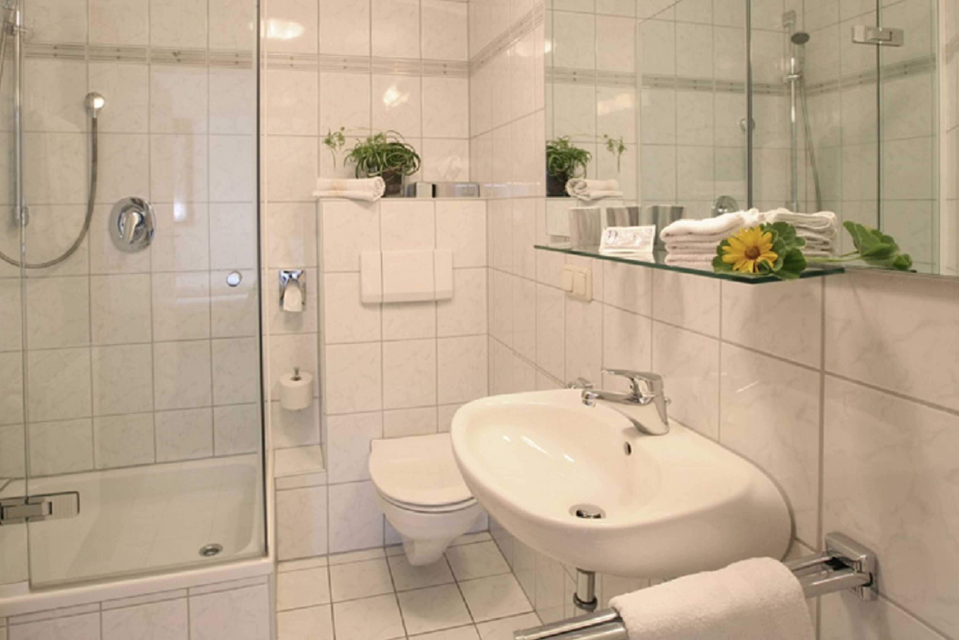 Shower, hair dryer