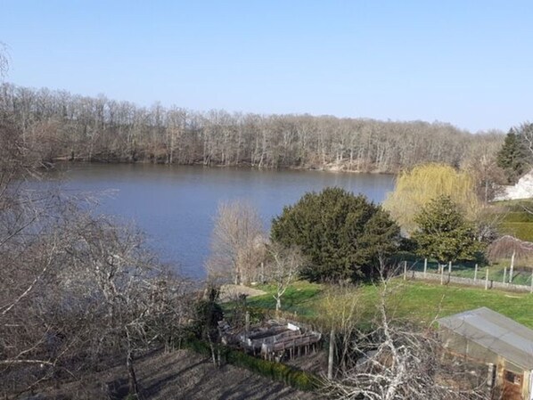 Una propiedad junto al lago con una cabaña pequeña, un patio cercado y una densa arboleda al fondo.