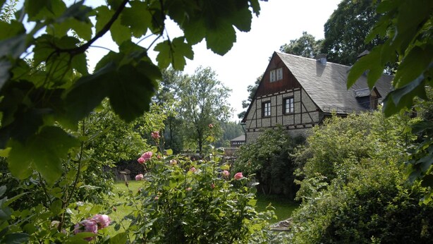 A traditional half-timbered house surrounded by lush greenery and blooming pink roses. - Landgasthof Haueis (Marktleugast)