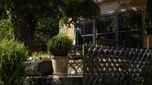 A patio area with a wooden fence, a stone planter with a tree, and a building with large windows in the background. - Landgasthof Haueis (Marktleugast)