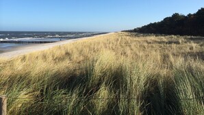 Ein Strand mit hohem Gras im Vordergrund, ein hölzerner Steg, der sich ins Wasser erstreckt, und ein bewaldeter Bereich zur Rechten.