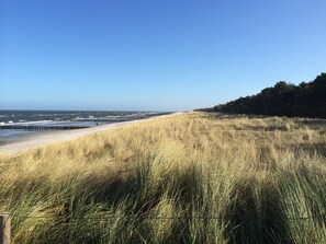 Accommodatie ligt op het strand