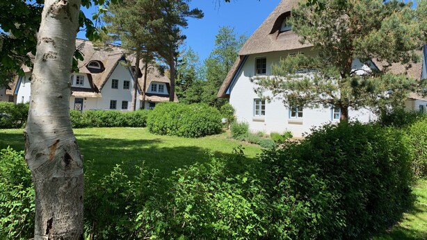 Ein traditionelles Gebäude im europäischen Stil mit einem Reetdach, umgeben von üppiger Vegetation und Bäumen.