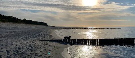 På stranden