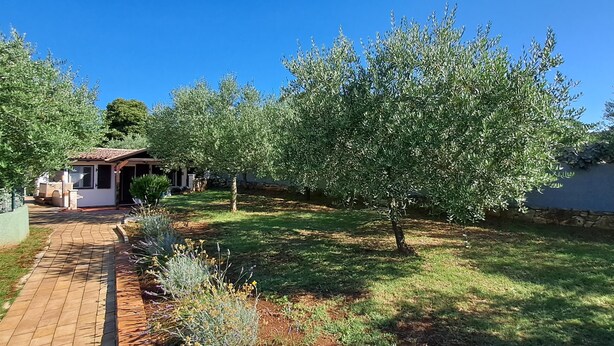A garden with a paved pathway, a small building, and olive trees. - Holiday Homes Marta (Rovinj)