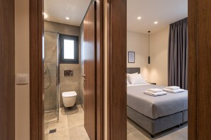 Shower, hair dryer, towels, toilet paper