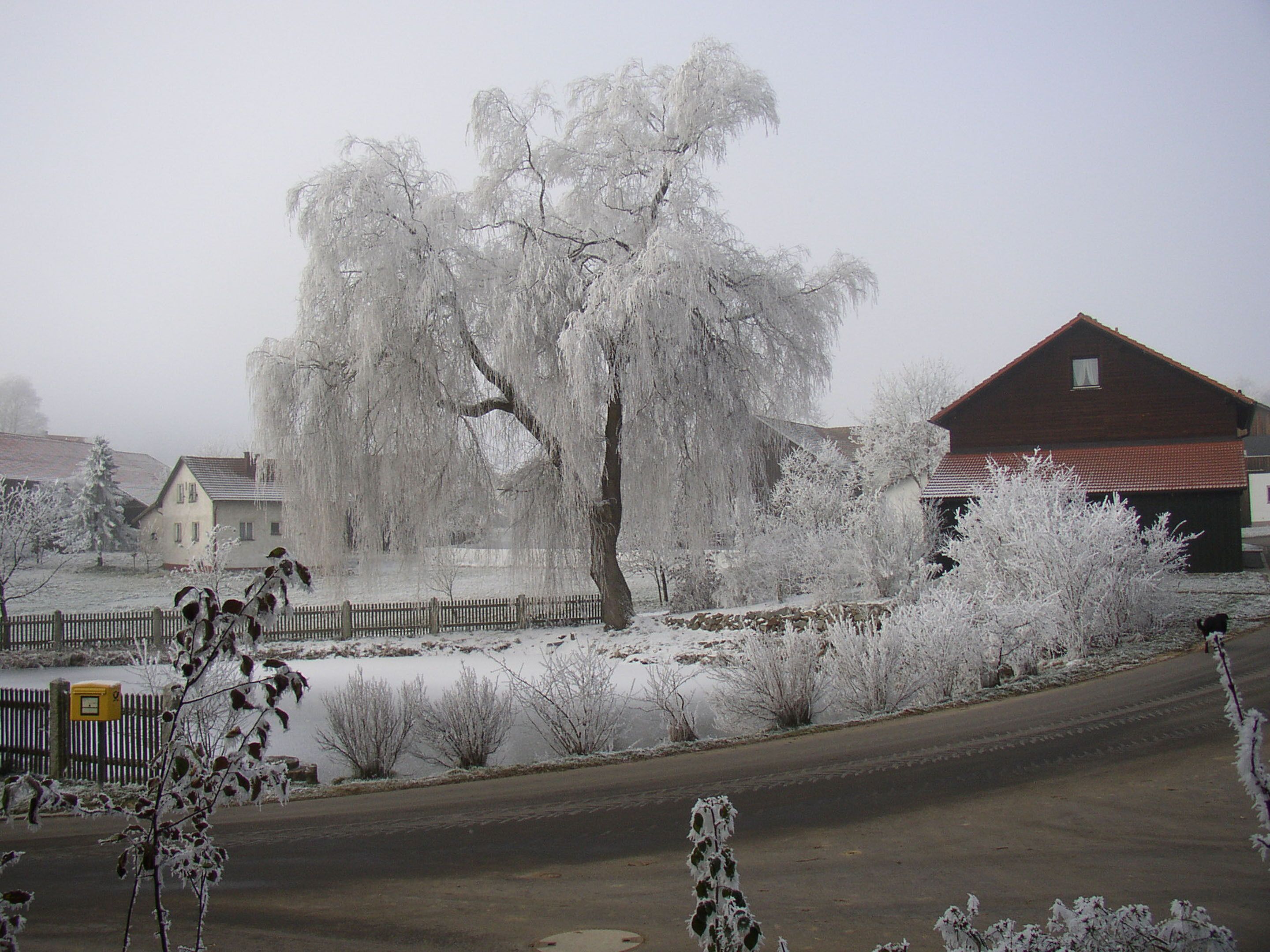 A rural landscape with a large tree covered in snow, a wooden fence, and a red barn.