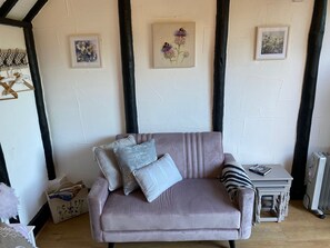 TV, books, video library