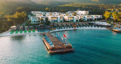 The Norm Collection Door'a Bodrum