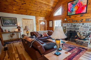 TV connectée, cheminée, jeux vidéo, lecteur de DVD