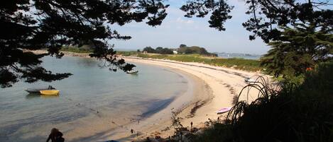 Accommodatie ligt op het strand