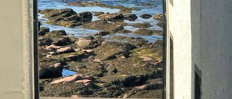 Vista desde la propiedad