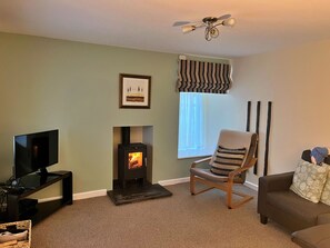 テレビ、暖炉、DVD プレーヤー