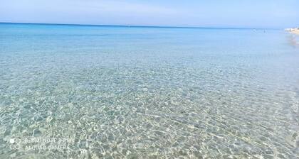 Villa Biagio 1945 - Villa with double PANORAMIC terrace surrounded by nature