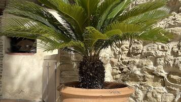 Details aan de buitenkant