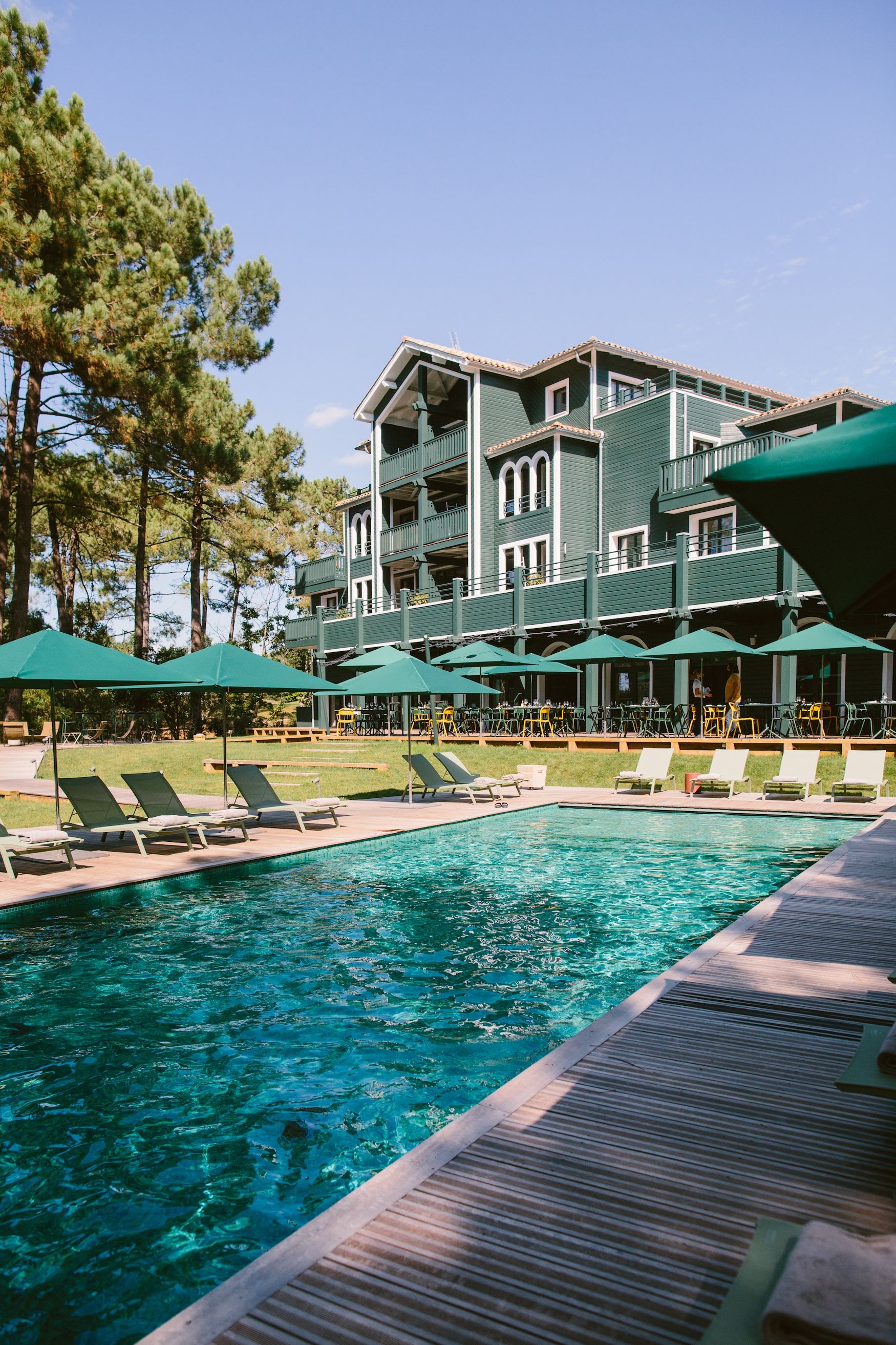 A pool area with lounge chairs and umbrellas, a building with balconies, and pine trees in the background.