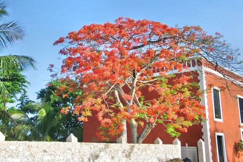 Valladolid - Living in Uayma