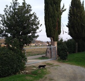 Property grounds - VallacchiB&B Tuscany Solution for Holiday tipical country house Family Friendly (Toscana)