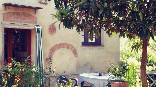 Un cortile con tavolo e sedie, circondato da piante in vaso e un albero.