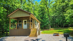 A small wooden cabin with a porch, a gravel path leading to it, and a mailbox nearby.