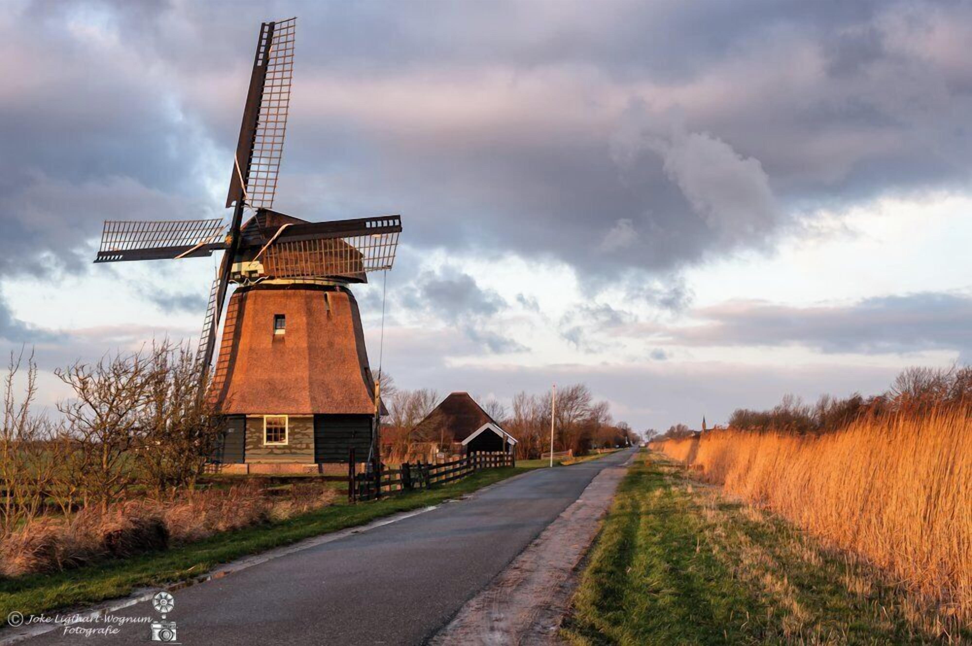 Un moulin à vent au design traditionnel, une route à côté, et un champ verdoyant en arrière-plan.