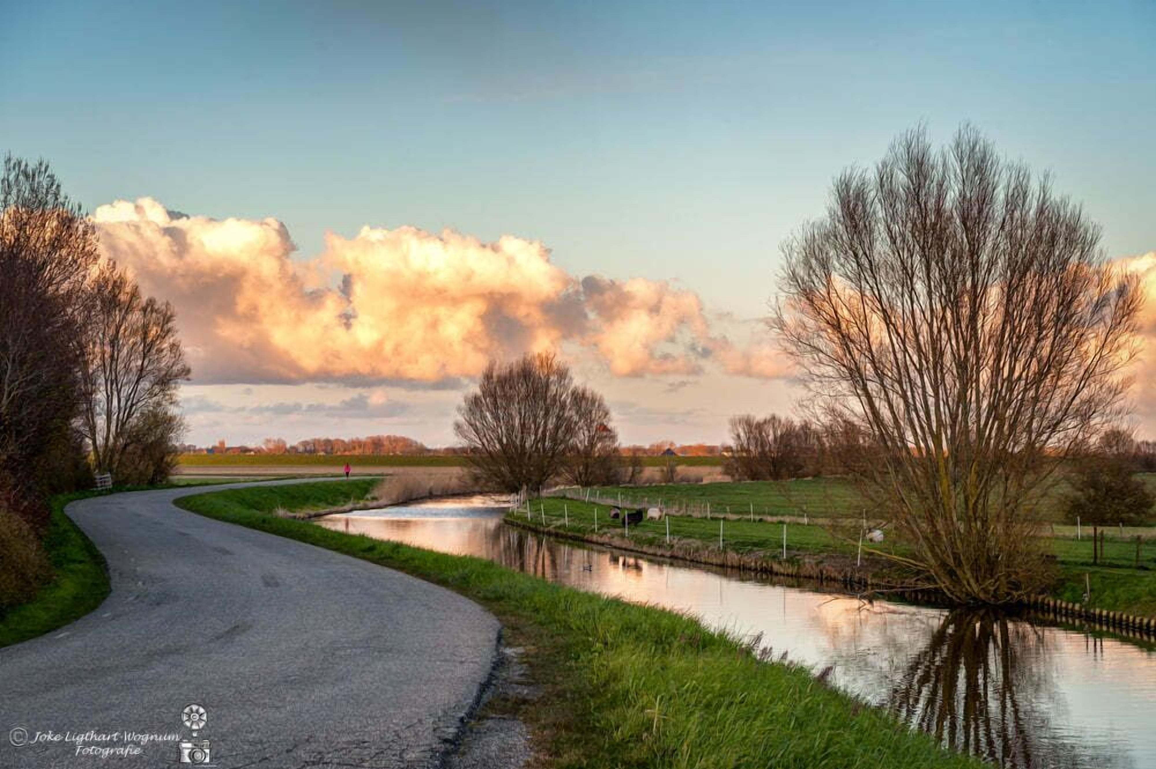 Een landelijk landschap met een kronkelende weg, een kanaal en bomen.