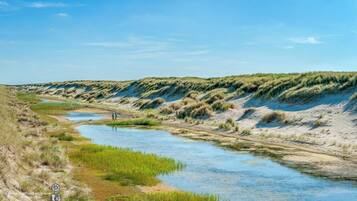 A river flowing through a natural landscape with dunes and grassy areas.