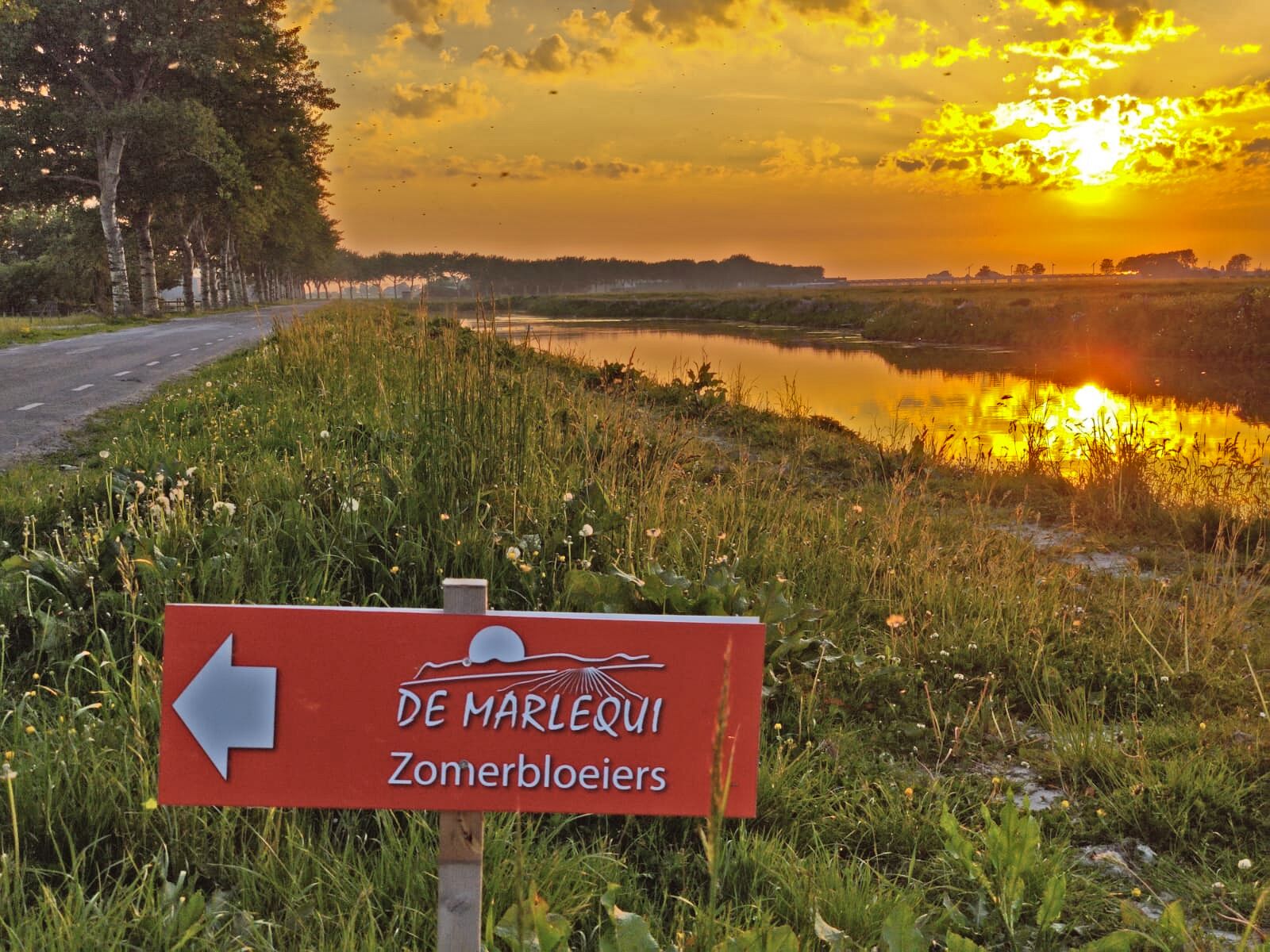 A sign indicating 'De Marlequi Zomerbloeiers' with an arrow pointing left.
