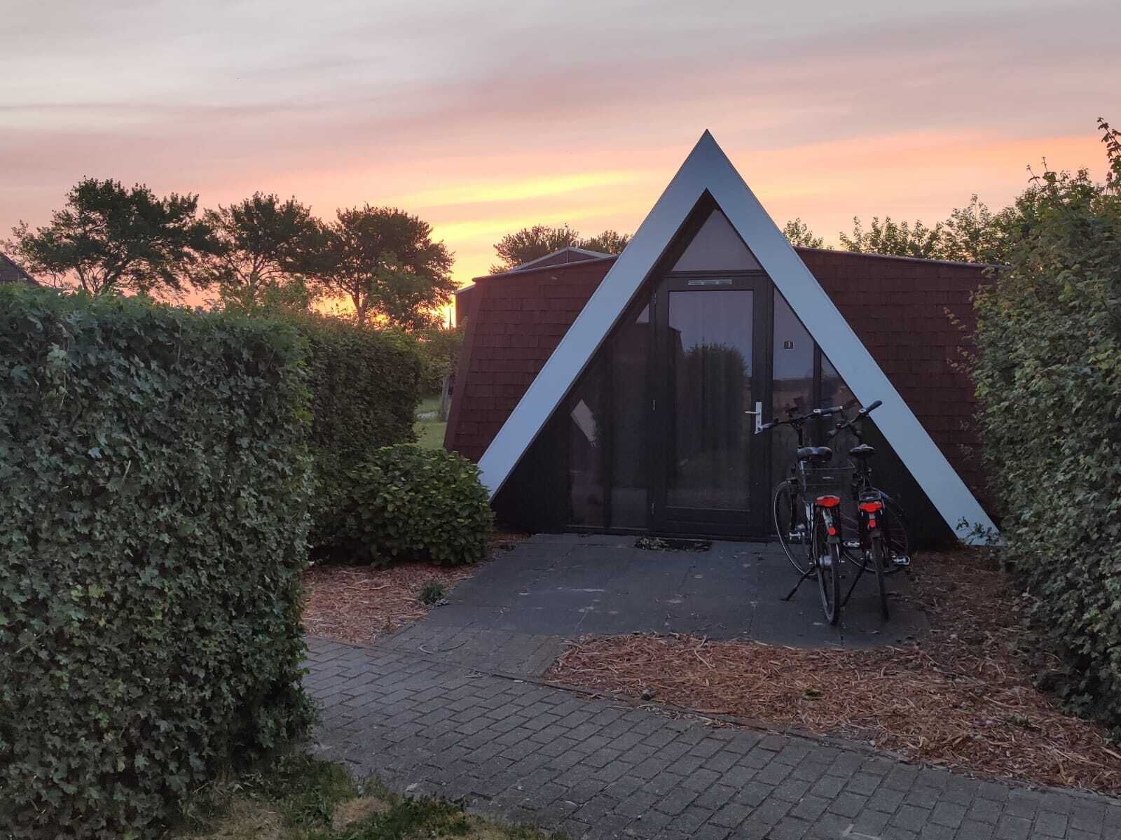 A modern building with a triangular roof and a glass door, surrounded by hedges and a bicycle parked in front.