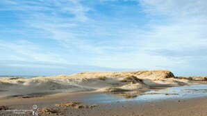 Beach - Hotelhuisje Warmenhuizen #D (Warmenhuizen)