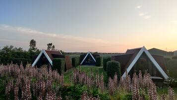 Tres cabañas modernas con techos triangulares rodeadas por un campo de flores púrpuras.