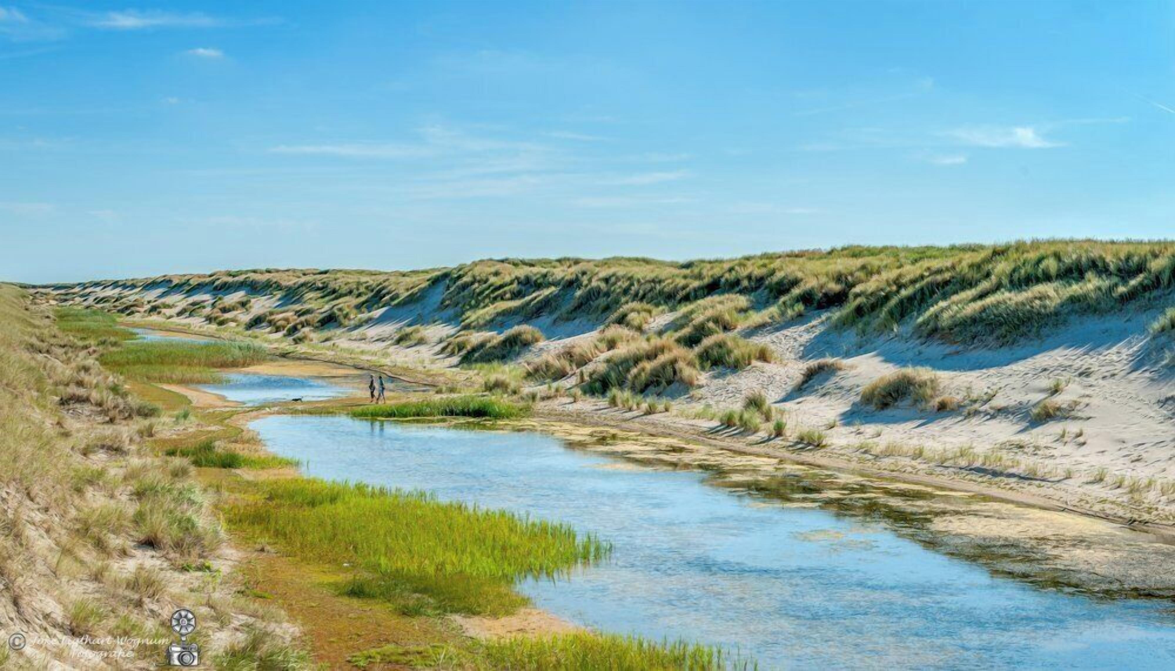 Un río serpenteando por un paisaje natural con dunas y zonas cubiertas de hierba.
