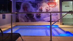 A pool area with a glass barrier, a sauna sign, and a mural of monkeys. - Hotel Vila Suíça 1818 (Nova Friburgo)