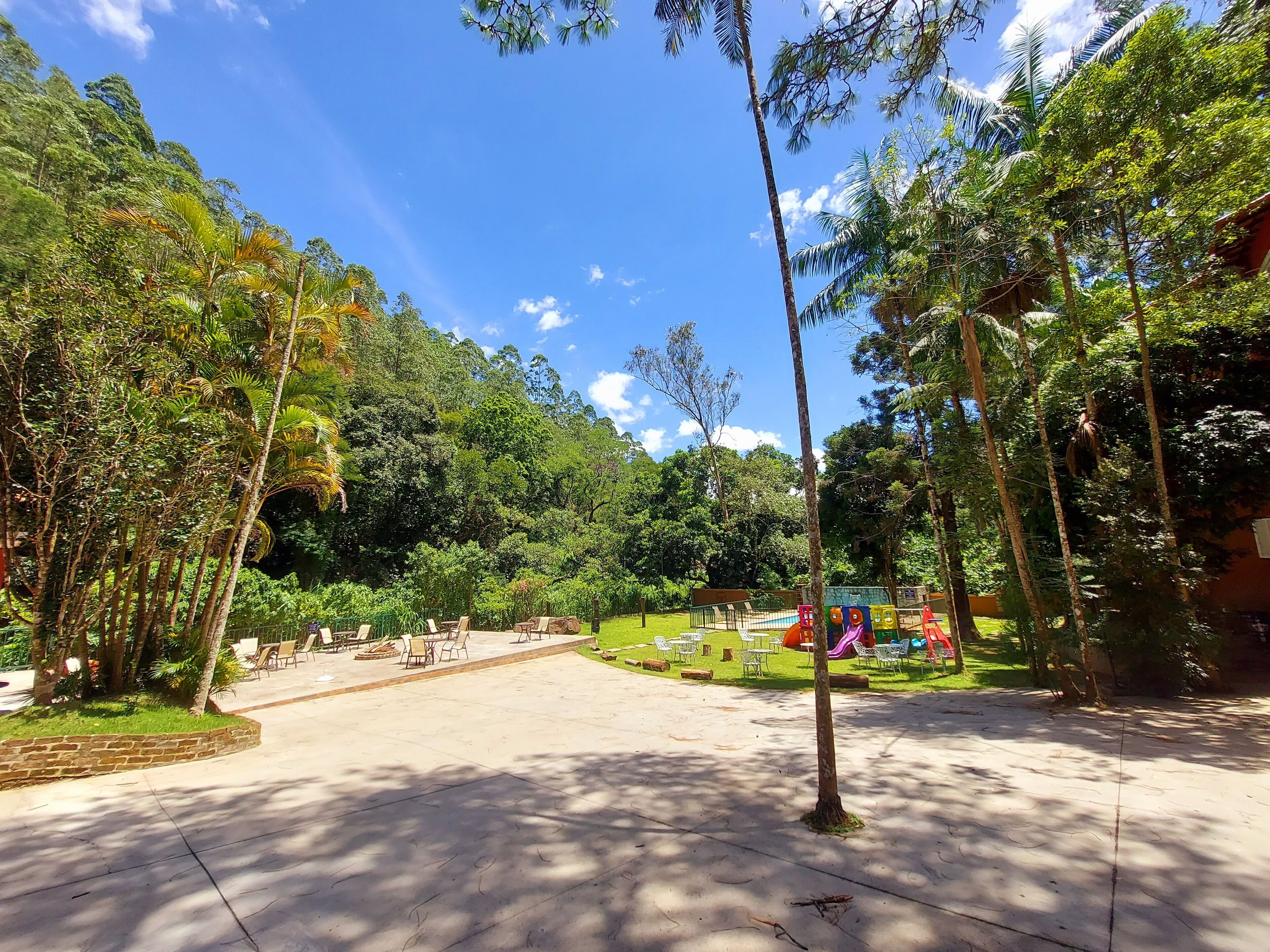 A spacious outdoor area with a concrete patio, surrounded by lush greenery and tall trees.