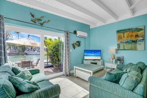 Smart TV, DVD player, books